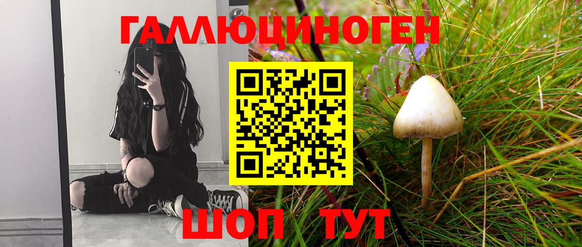 Галлюциногенные грибы Cubensis Кумертау